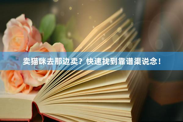 卖猫咪去那边卖？快速找到靠谱渠说念！