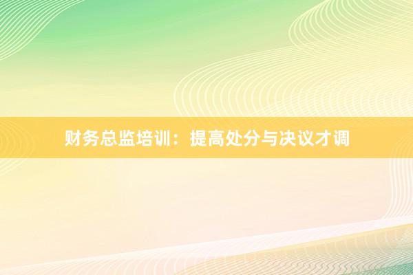 财务总监培训:提高处分与决议才调