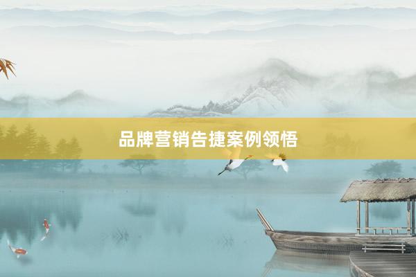 品牌营销告捷案例领悟