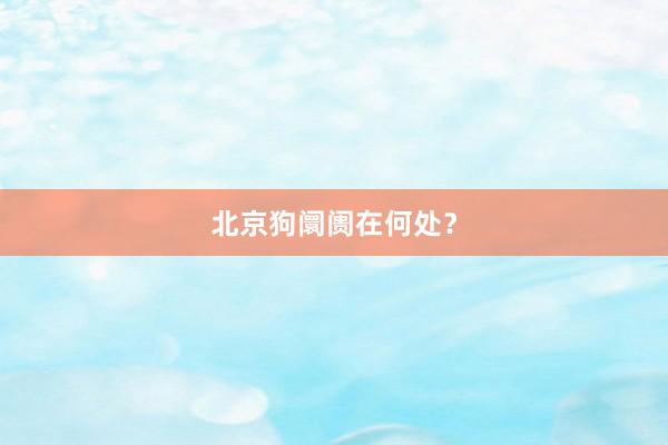 北京狗阛阓在何处？